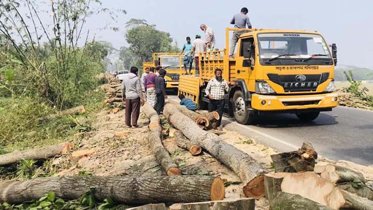 জালিয়াতি করে কোটি টাকার গাছ লুট