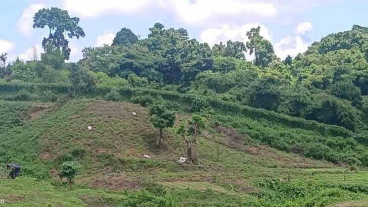 মিয়ানমার থেকে ছোড়া মর্টার শেলে বান্দরবানে নিহত ২  