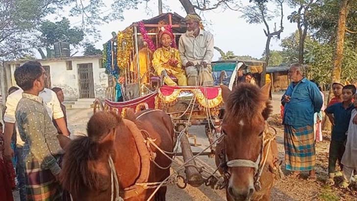 দুই সহোদর শিশুর খৎনায় ঘোড়ার গাড়িতে গ্রাম পরিদর্শন