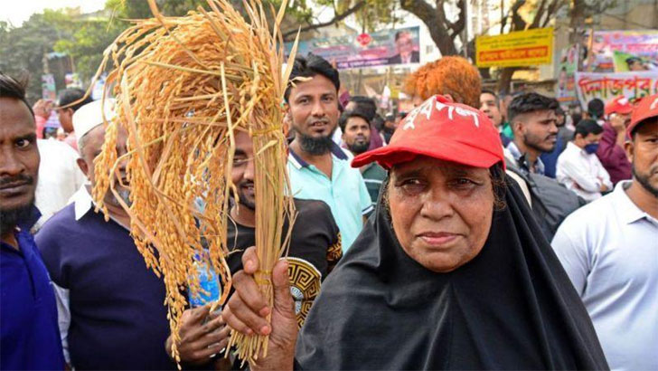 উপজেলা নির্বাচনে অংশগ্রহণ নিয়ে বিএনপির ভেতরে যত আলোচনা