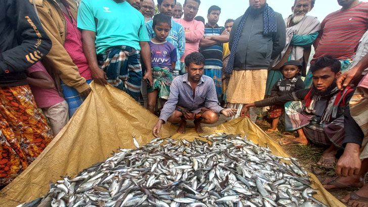 দুর্বৃত্তদের বিষে স্বপ্ন ভেঙে গেল মৎস্যচাষির