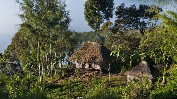 পাপুয়া নিউগিনিতে গোলাগুলিতে নিহত ৫৩