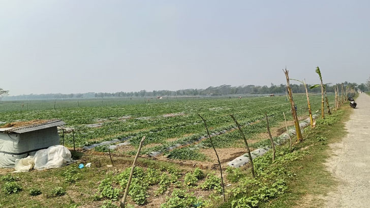 তরমুজ খেতে পানি সেচ নিয়ে শঙ্কায় চাষিরা