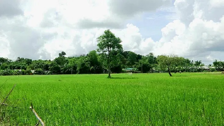 নাইক্ষ্যংছড়িতে গুলিবিদ্ধ ইউপি সদস্য হাসপাতালে