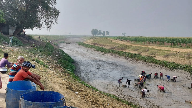 বিয়ের দশ দিনের মাথায় প্রাণ গেল যুবকের