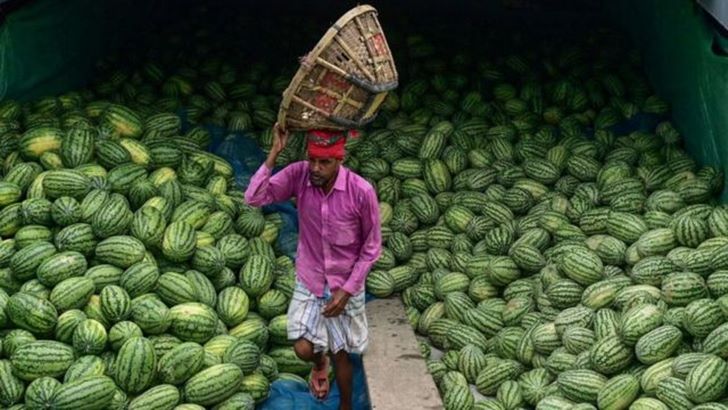 সান্তাহারে তরমুজ ৩০ টাকা কেজি, তবুও ক্রেতা নেই