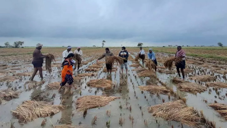 পাকিস্তানে ভারি বৃষ্টিতে ২২ জনের মৃত্যু