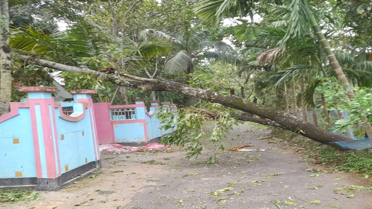 বড়লেখায় কালবৈশাখীতে ৫ শতাধিক ঘরবাড়ি ক্ষতিগ্রস্ত