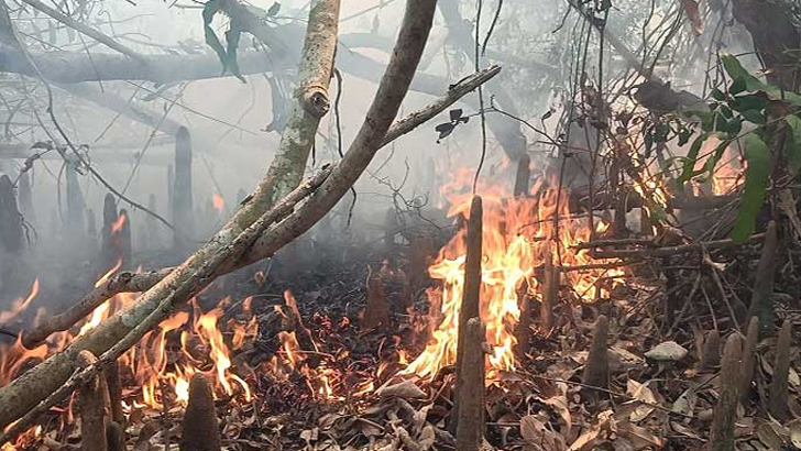 সুন্দরবনের গহীনে ভয়াবহ আগুন