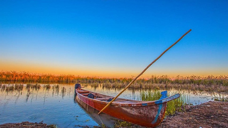 জলাভূমি সংরক্ষণ ও উন্নয়ন কেন জরুরি