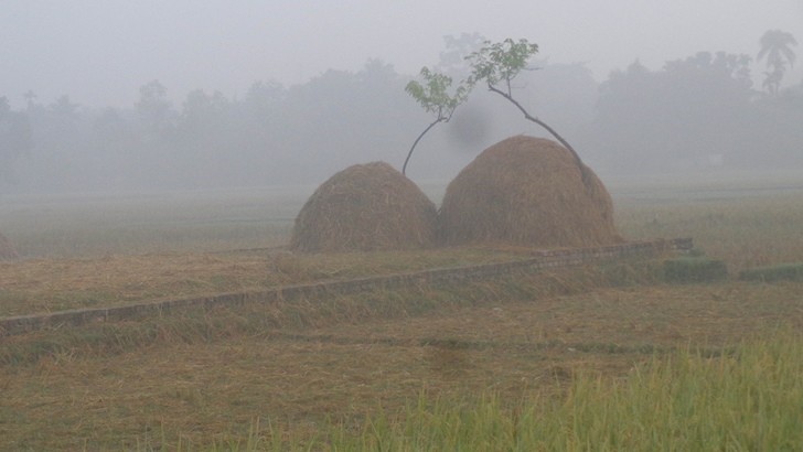 তাপপ্রবাহ, বৃষ্টি আর কুয়াশা এই তিনরূপে বৈশাখ