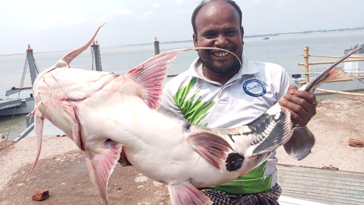 জেলের জালে ধরা পড়ল ১১ কেজির বাগাড়