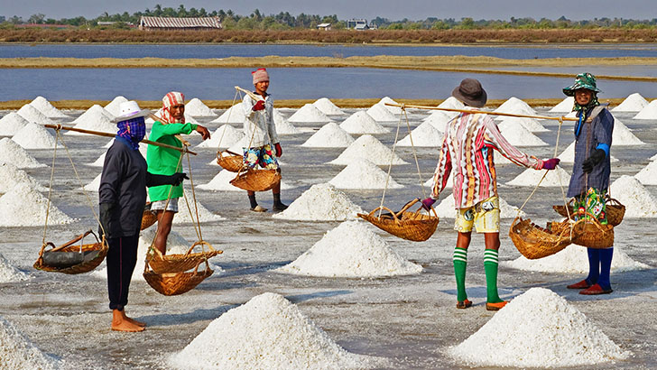 দেশে ৫ যুগের ইতিহাসে রেকর্ড লবণ উৎপাদন