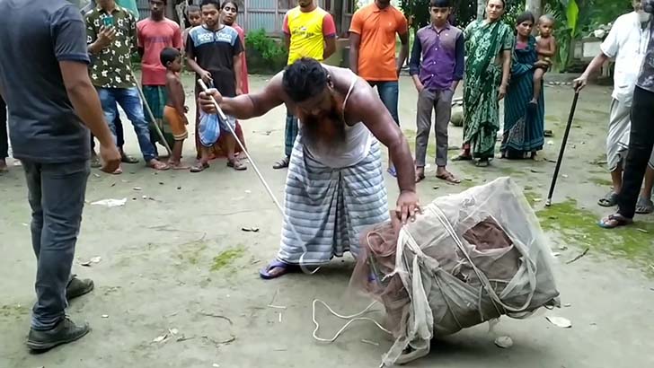 রাসেল ভাইপার আতঙ্কে চরাঞ্চলের মানুষ