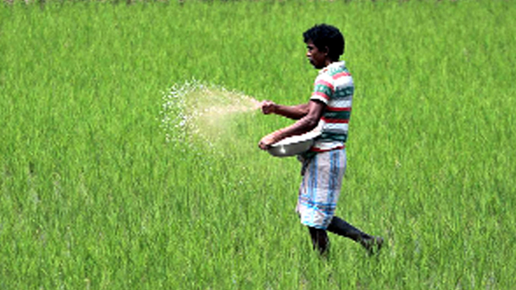 খাদ্য মূল্যস্ফীতি কমাতে পারে বিনামূল্যের সার