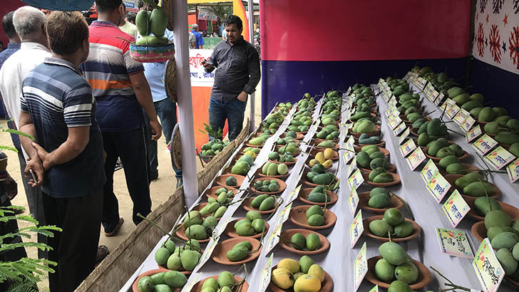 বৌ-ভুলানোসহ ১৪৫ জাতের আম নিয়ে মেলা