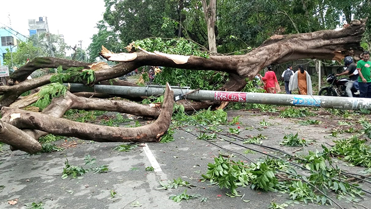 পাঁচ মিনিটের ঝড়ে লন্ডভন্ড দিনাজপুর-ডিমলা