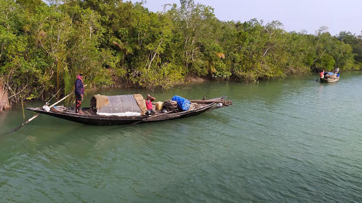 সুন্দরবনে আজ থেকে ৩ মাস প্রবেশ নিষিদ্ধ