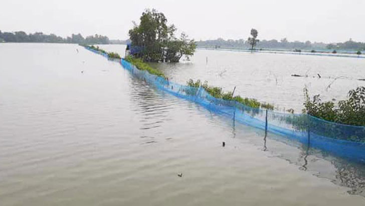 রেমাল: জোয়ার-জলোচ্ছ্বাসে ভেসে গেছে ৩৫ হাজার ঘেরের মাছ