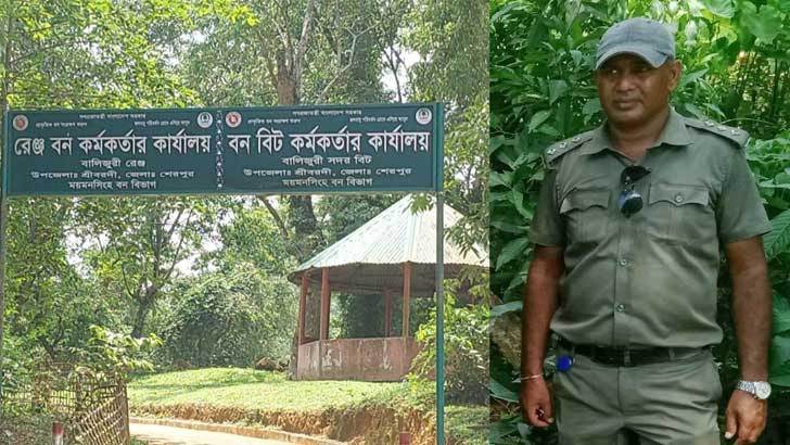 বনায়নের ১০ কোটি টাকার গরমিল, পলাতক কর্মকর্তা 