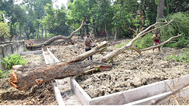 বনবিভাগের অনুমতি ছাড়াই সিভিল সার্জনের বিরুদ্ধে গাছ কাটার অভিযোগ