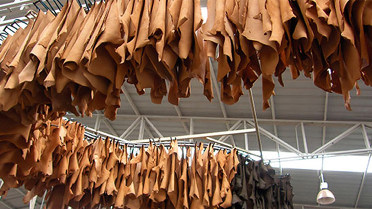 চামড়ায় খেলাপি ঋণ ৪১৪৫ কোটি টাকা