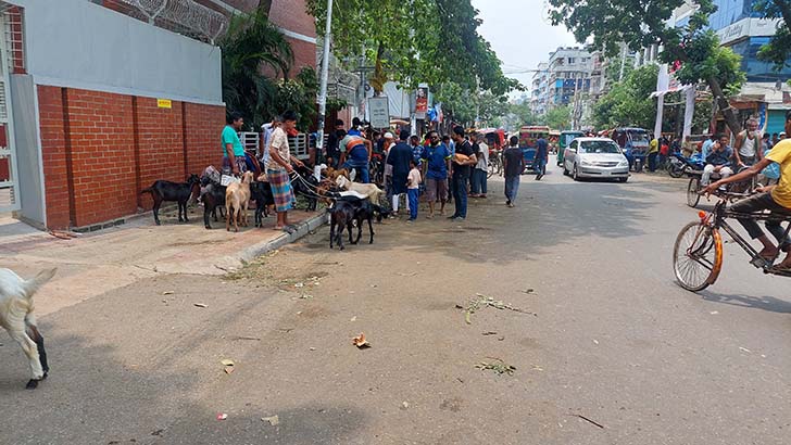 মিরপুরে অবৈধ ছাগলের হাট, হাসিল আদায়