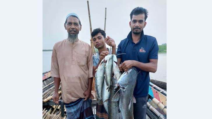 যমুনায় ধরা পড়ছে ঝাঁকে ঝাঁকে বোয়াল 