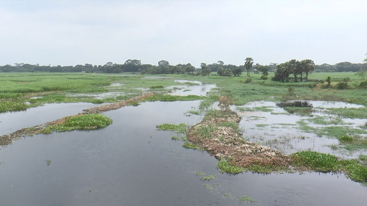 নদকে খাল দেখিয়ে সোয়া কোটি টাকা ইউপি চেয়ারম্যানের পকেটে! 