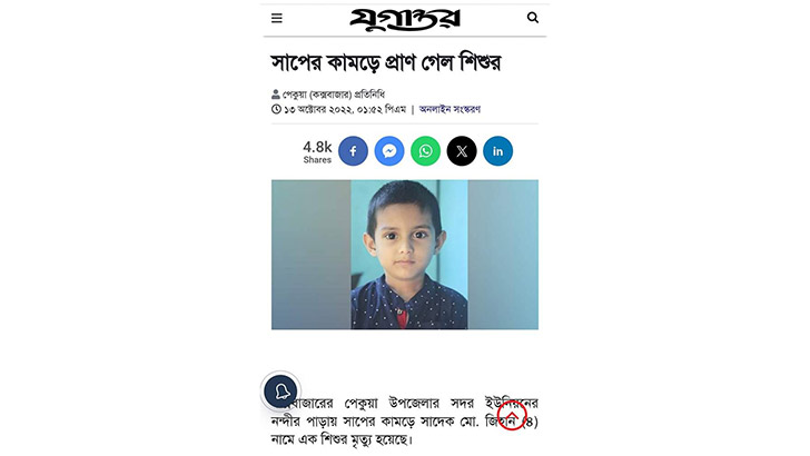 নওয়াপাড়ায় রাসেলস ভাইপারের কামড়ে শিশুর মৃত্যু নিয়ে গুজব