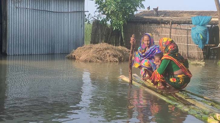 বন্যায় ডুবে আছে চর বালা ডোবা, দেখার কেউ নেই