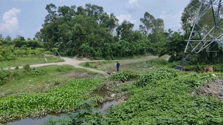 মুন্সীগঞ্জে নদীর মুখে বাঁধ: রজতরেখার পানি প্রবাহ বন্ধ, বিপন্ন পরিবেশ