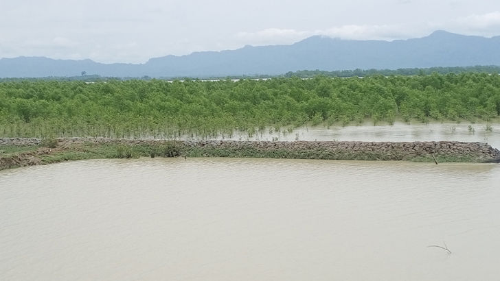 মিয়ানমারে পাল্টাপাল্টি আক্রমণ, বিস্ফোরণে কাঁপছে টেকনাফ  