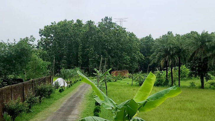 খাস জমি দখল করে রিসোর্ট-খামার গড়ার অভিযোগ প্রকৌশলীর বিরুদ্ধে