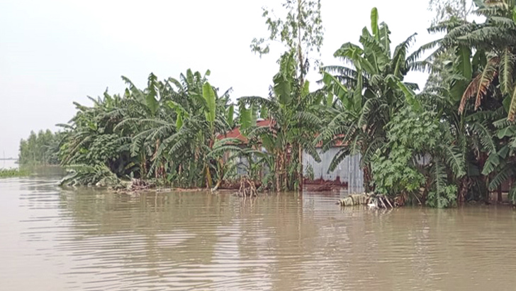 যমুনার পানি বিপৎসীমার উপরে, নিম্নাঞ্চল প্লাবিত 