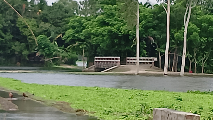 ব্রিজ থেকে বন্যার পানিতে লাফ, প্রাণ গেল শিশুর