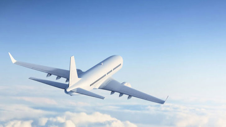 আকাশে উড়তেই পড়ে গেল চাকা, তারপর বিমানে যা ঘটল (ভিডিও)