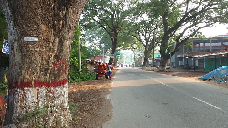 মেহেরপুরে ১৪শ গাছের ‘মৃত্যু পরোয়ানা জারি’