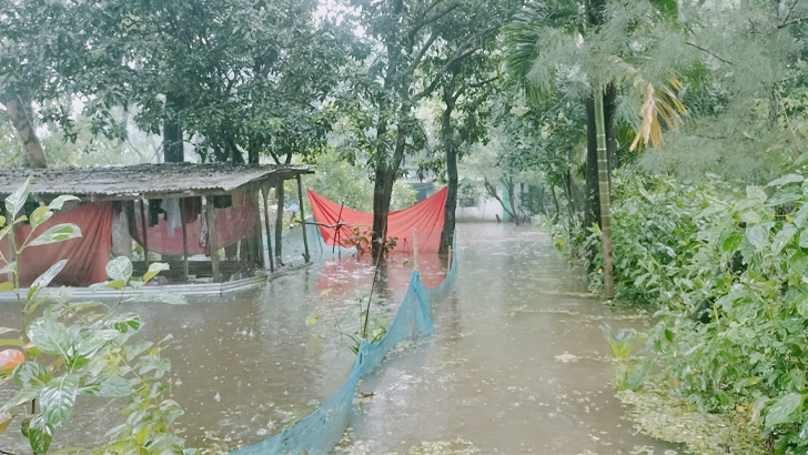 লক্ষ্মীপুরে বৃষ্টি-জোয়ারে জলাবদ্ধতায় ৬ লাখ মানুষ পানিবন্দি 