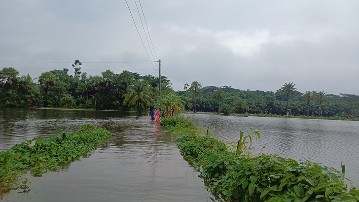 ৭২ ঘণ্টায় বৃষ্টি কমার সম্ভাবনা নেই, বিপৎসীমার ওপরে ১০ নদীর পানি