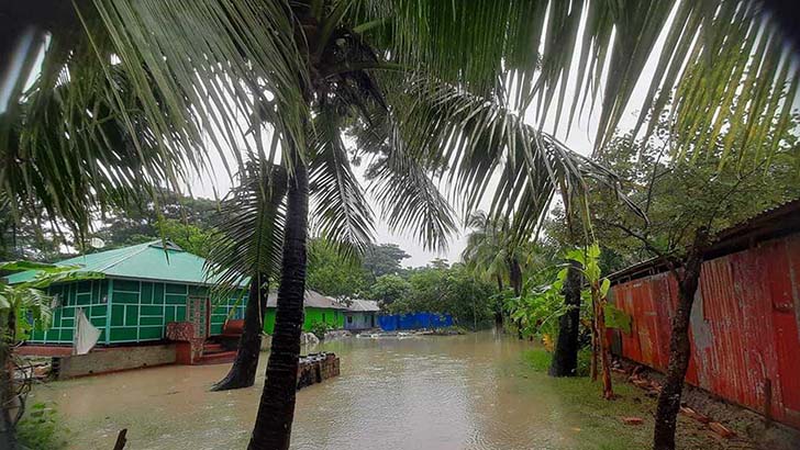 নোয়াখালীতে বন্যা পরিস্থিতির অবনতি, খাদ্য সংকটের সঙ্গে সাপ আতঙ্ক