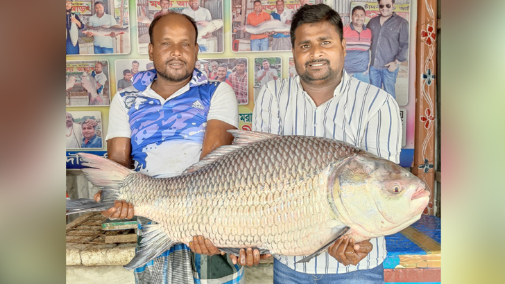 এক কাতল মাছের দাম ৩৮৫০০ টাকা