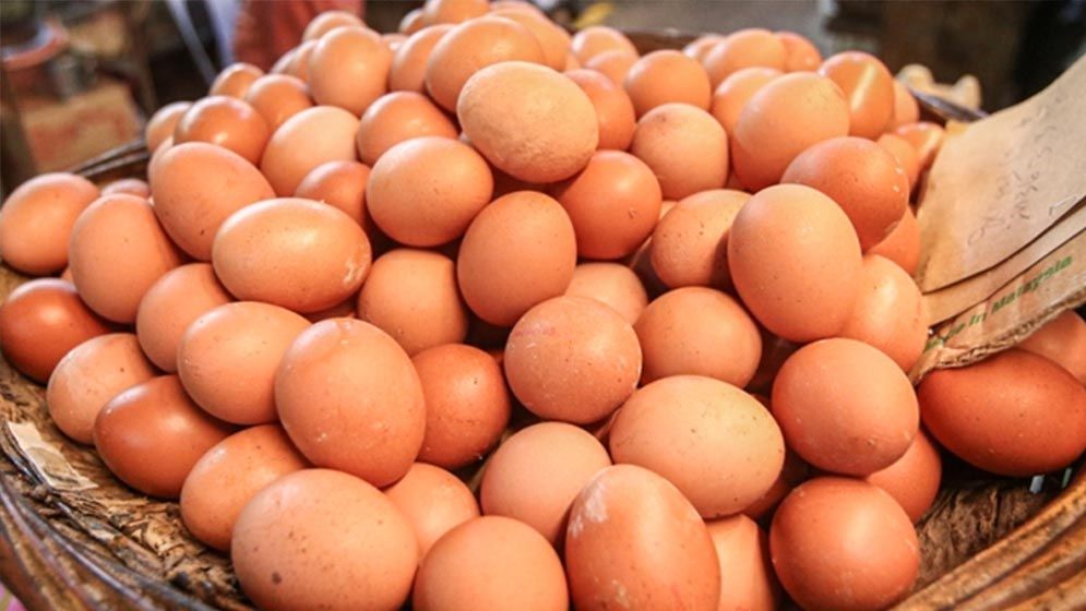 ডিমের দাম হালিতে বাড়ল ২ টাকা