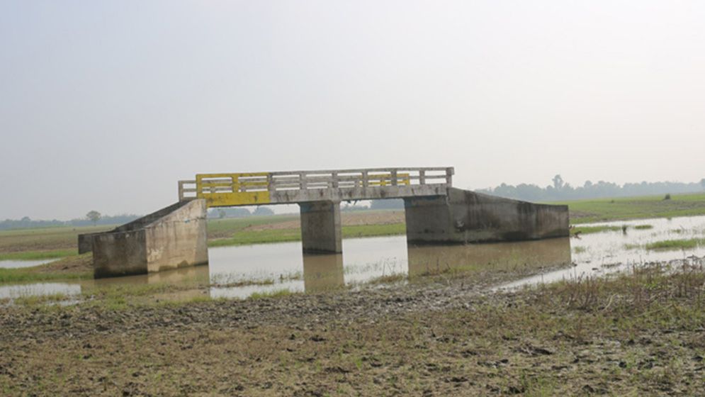 পদ্মার চরে যে সেতু কোনো কাজেই আসছে না