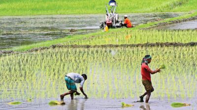 গ্রামীণ অর্থনীতির পুনর্গঠন অগ্রাধিকার পাক