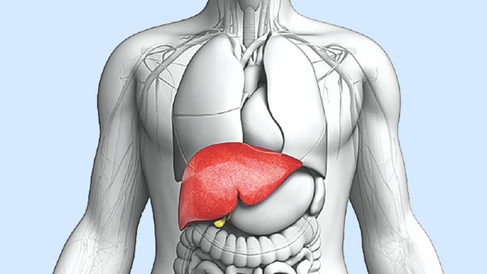 যে ৫ খাবার লিভার থেকে ক্ষতিকর উপাদান বের করে, জেনে নিন