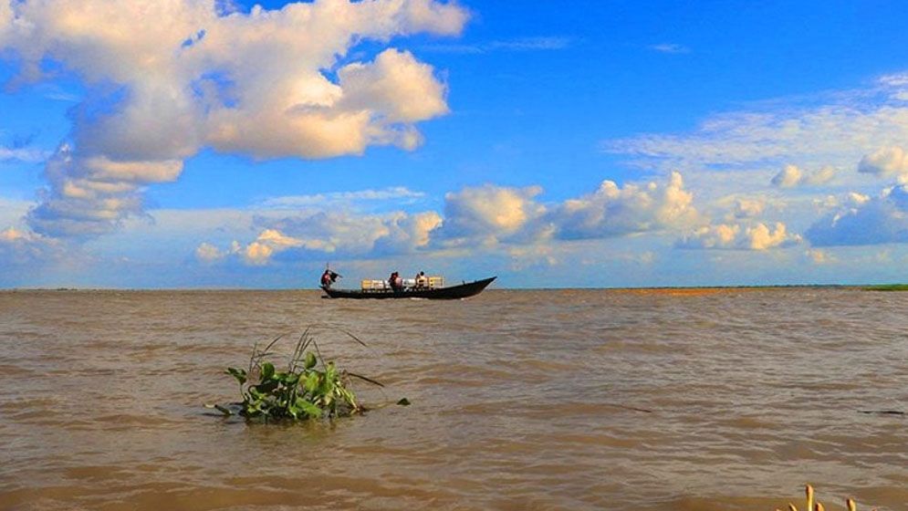 পদ্মায় পানি বাড়ায় চরের পেঁয়াজখেতের সর্বনাশ