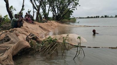 টাঙ্গুয়ার হাওড়ে অবৈধভাবে মাছ চুরির সময় নিষিদ্ধ কোনাজাল জব্দ