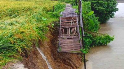 বীরগঞ্জে টানা বর্ষণে বাঁশের সাঁকো ভেঙে দুর্ভোগে এলাকাবাসী