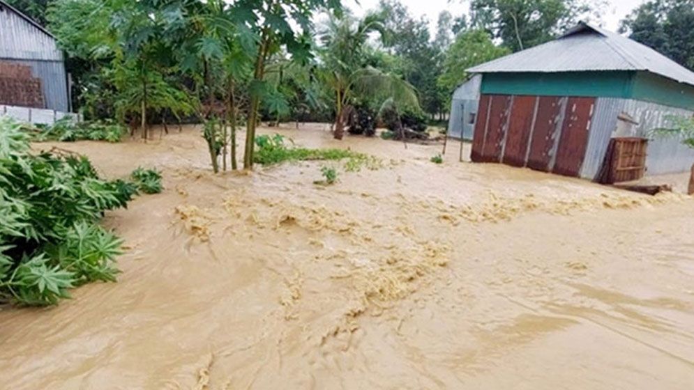 নদীর বাঁধ ভেঙে ঝিনাইগাতীতে প্লাবিত শত গ্রাম, দুর্ভোগ